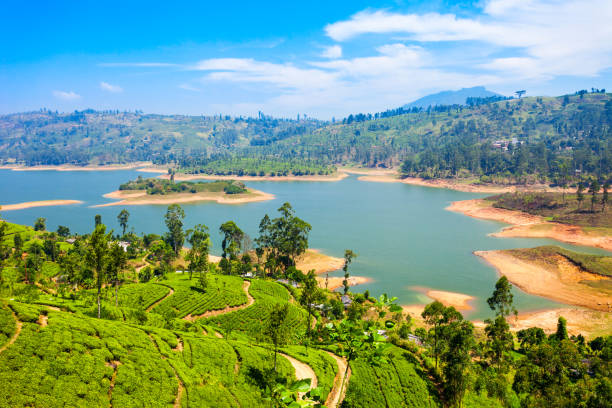 nuwara-eliya